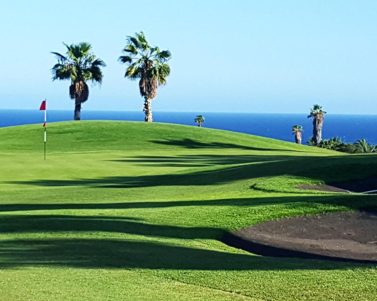 Oceanfront Tenerife South Albatros 270 Σαν Μιγκέλ ντε Αμπόνα Εξωτερικό φωτογραφία